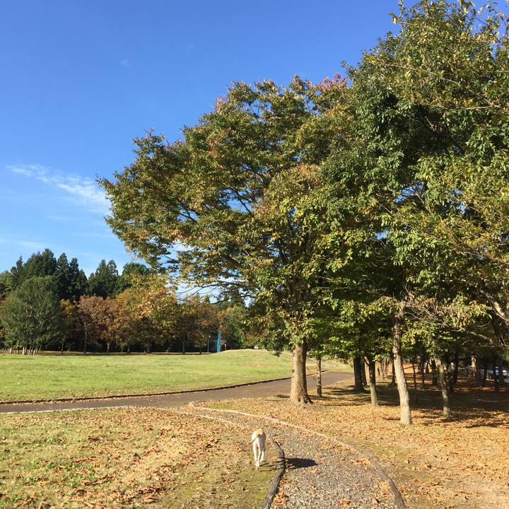 C830d0ec 62fc 4eff a5a2 889d6b6f91a5