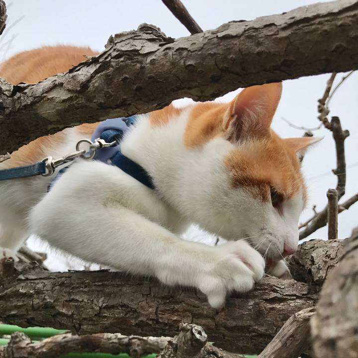 C830f2f6 b941 46c9 9edc 0bc8c5aa574d