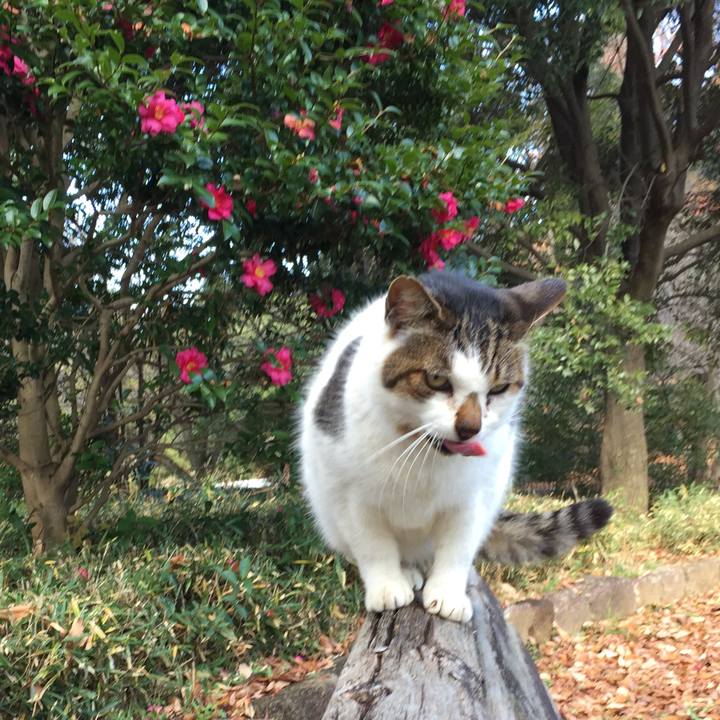 C830fdf3 fdaa 42a9 95da 2d15b906dcfe