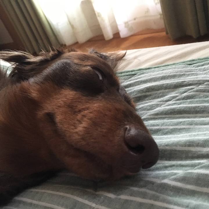 C83169e3 02a5 4ffd b5f7 e068b054ec0e