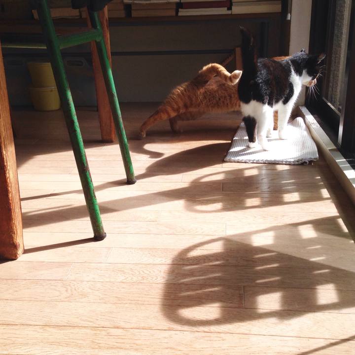 C831915a 4180 4a33 ba2b f647ef96083c