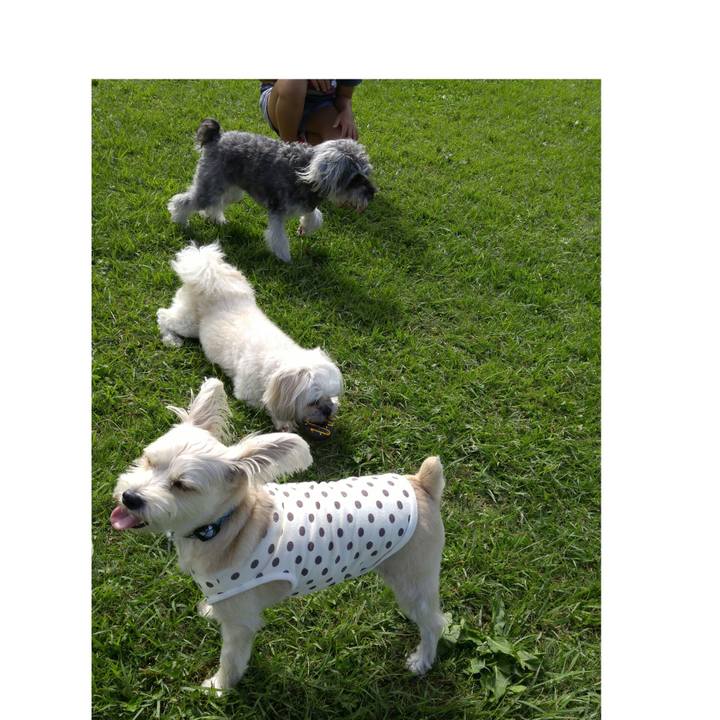 C831fcf4 4b45 43d9 80e1 87475a91bb76