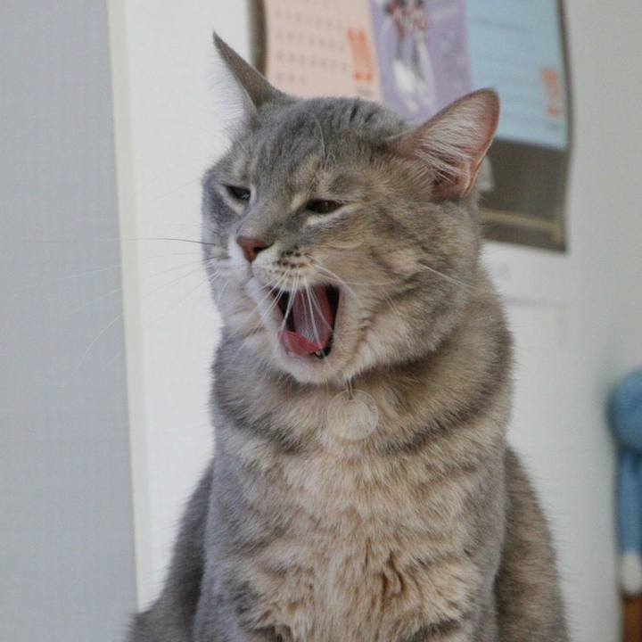 C832cf7c 8df7 4a87 8e2c 454aced98375