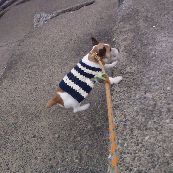 C8339618 b145 409c b13c c111919487ce