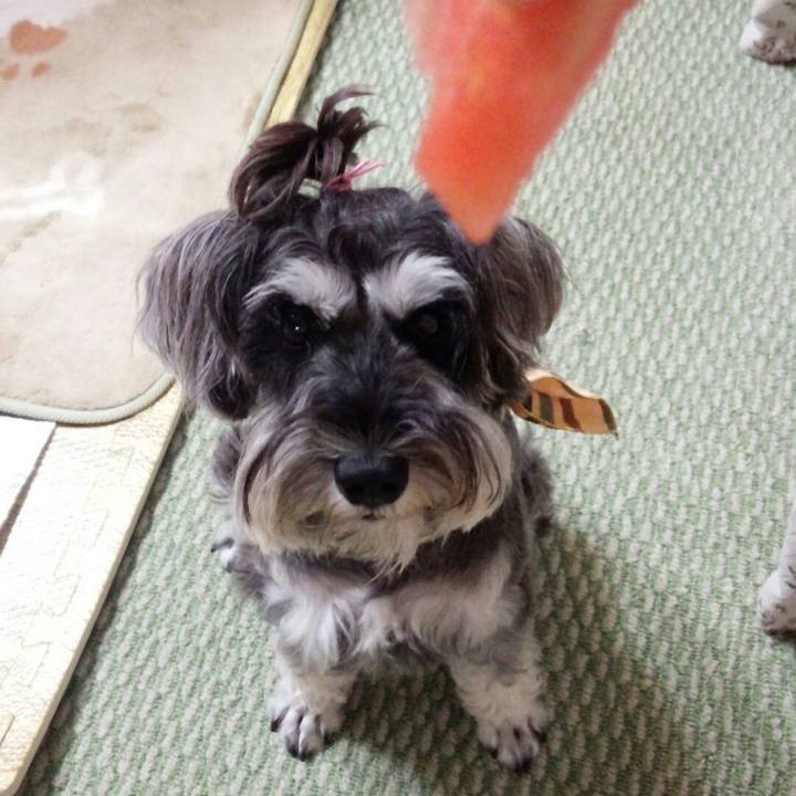 C833cb4a 68d8 49de 90c1 ad46f0ffe98c