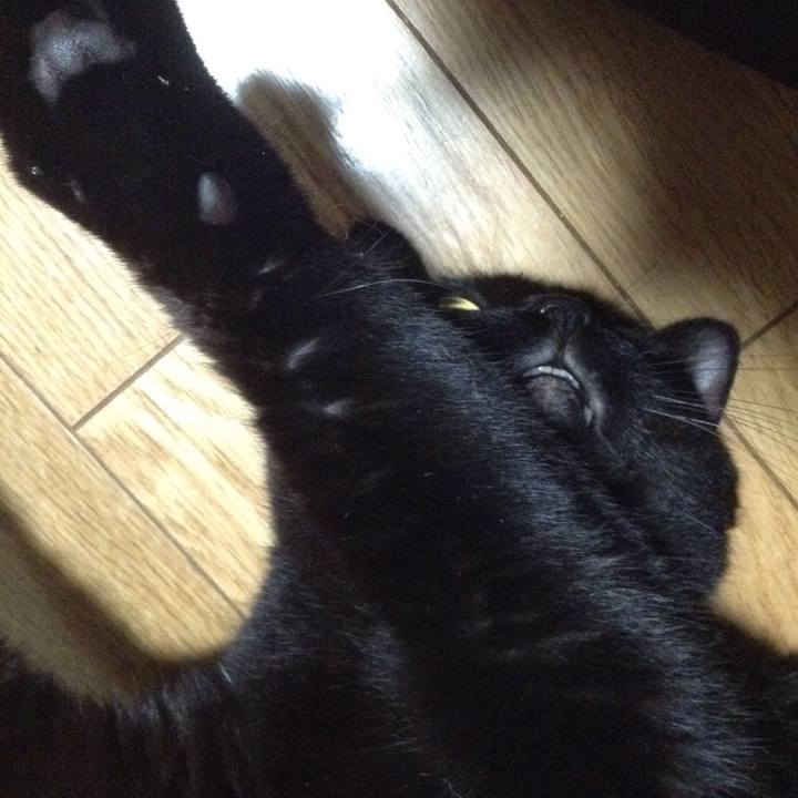 C833d8b9 f4d0 4f1f a4de 4aedf15ae7b7