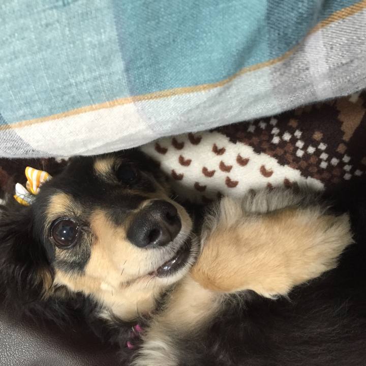 C833df4e 836b 47cf a13b 7981fbfc4f2c