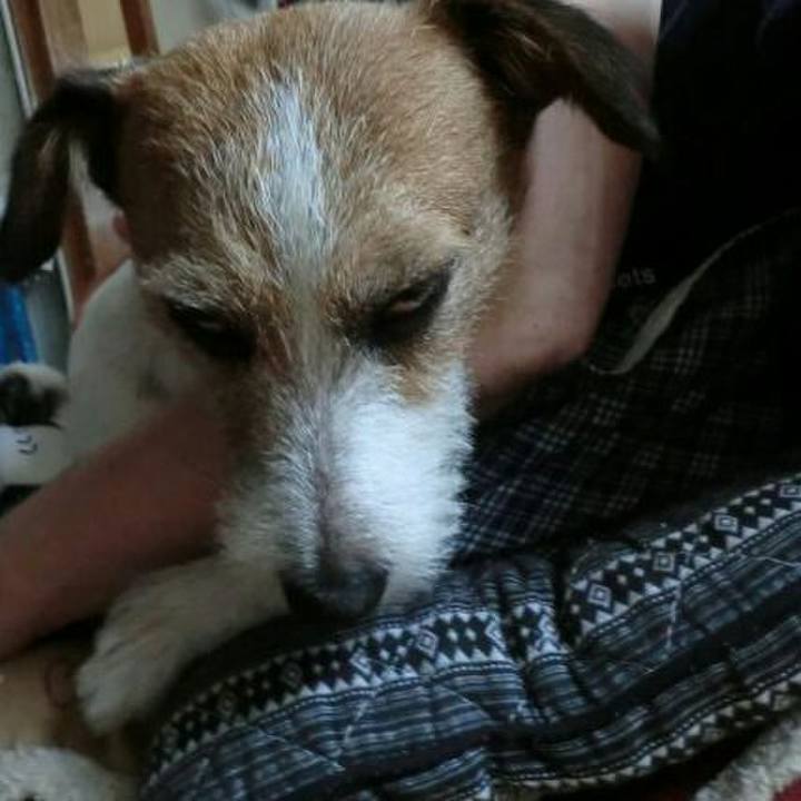 C834021a d7d6 4c5c bd7d 7a864a60ec7d