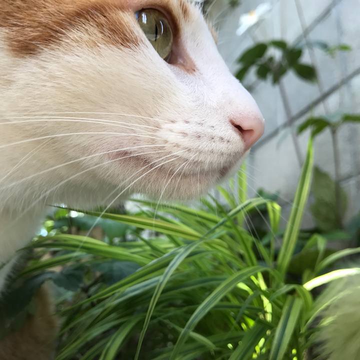 C834f281 7191 4199 adb7 245632f1667f