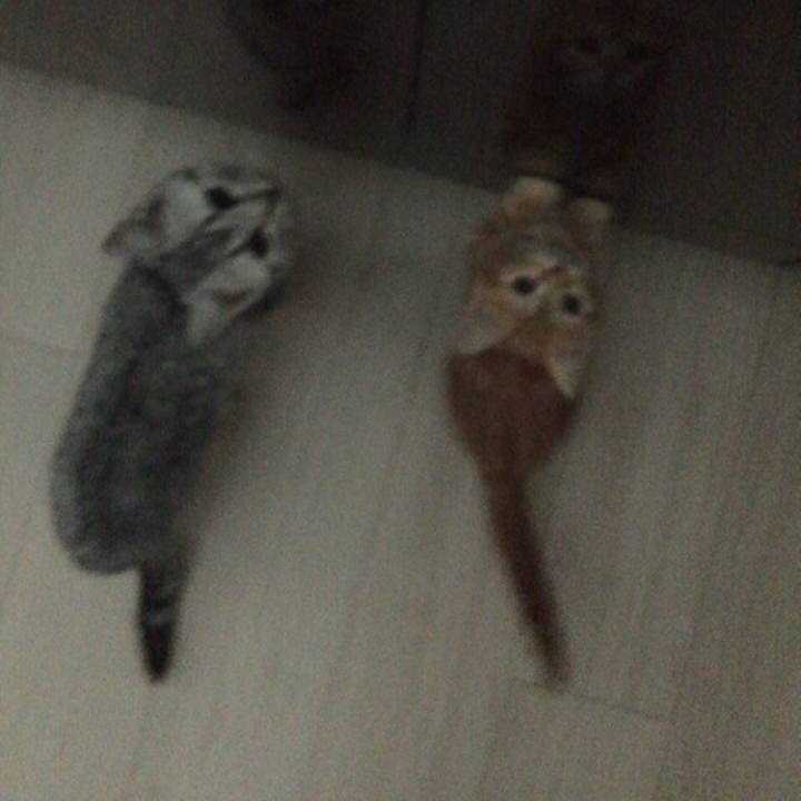 C83502b7 9456 4c03 9b7e 51c77a8e4f73