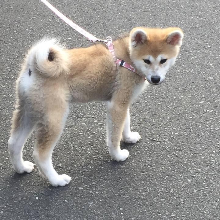 C83860d5 1213 46af 8a88 51c0d363e406