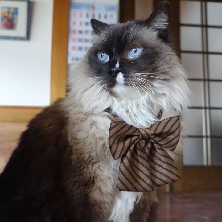 C8388ed7 fb35 4373 b622 ab802df83aad