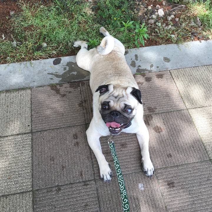 C839f90e fa39 4bf2 b643 ddcbdf853482