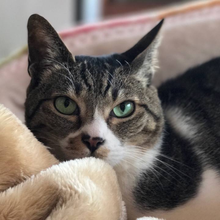 C83a1aad 42c1 4672 a624 5157c8358b1f