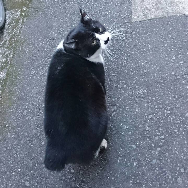 C83a313f d4ff 4f95 b0e9 889deae8ab40