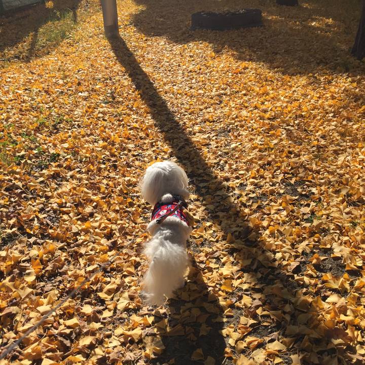 C83a3a85 c940 4d54 8782 916a86aff46b