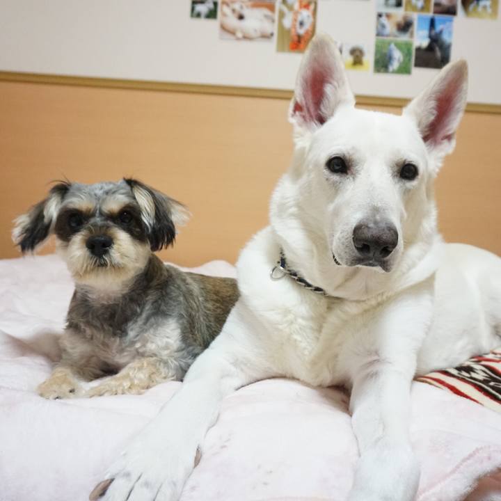 C83a4541 6c7c 4f9f 8e92 75071e6d3582