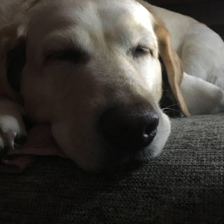 C83a8420 2bf4 4b56 93e7 2d88f2f58f9f