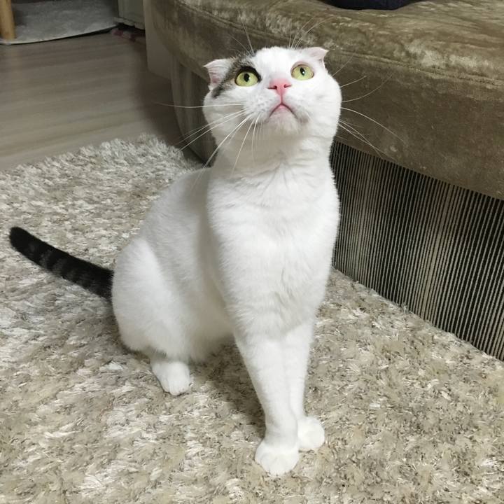 C83af177 25fb 4d44 84b3 47ef855ef8b1