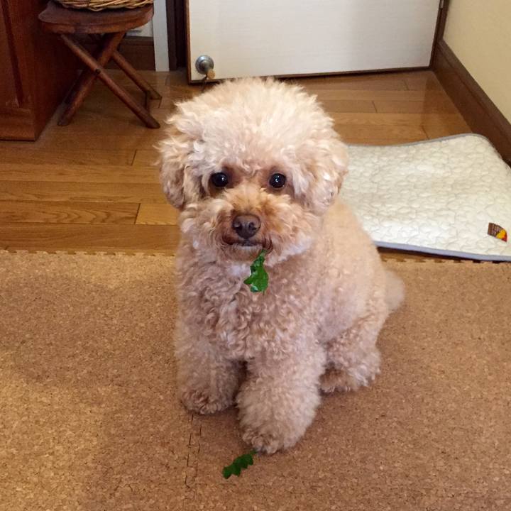 C83b5368 fd45 40f4 9b74 ec170b8ed121