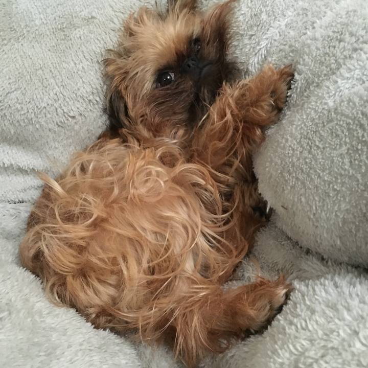 C83b89aa 7368 49c9 98c8 99208052e264