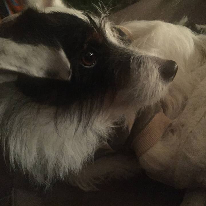 C83b942c c484 4027 8a91 1462bba16055