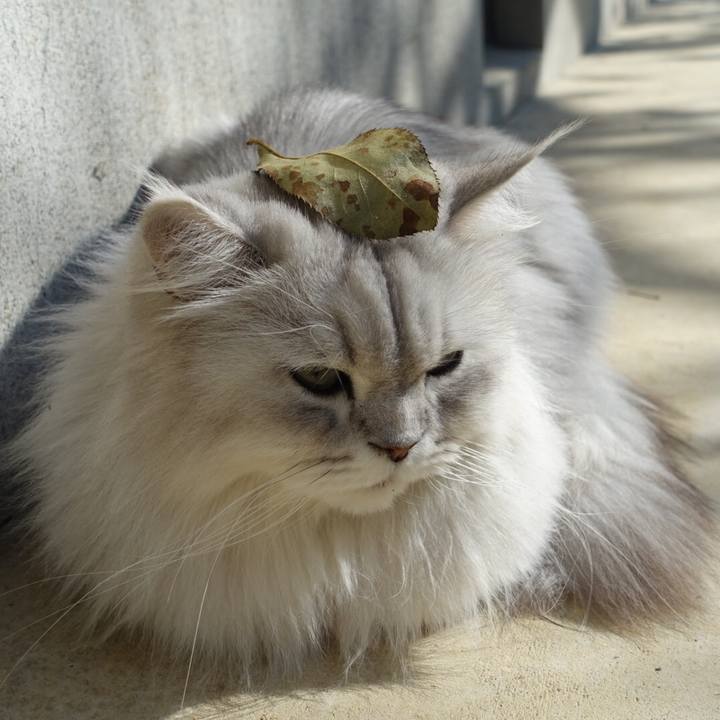 C83b9fb3 bd4f 4a62 a6e4 b847e0a9c538