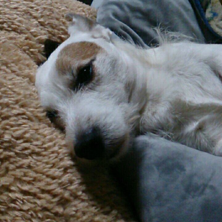 C83bb9d4 1db9 450d b190 bbb9f7b45cf6