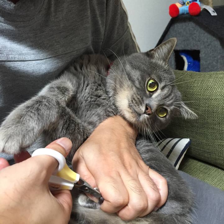 C83d1870 aac9 4bac 8773 4bba7e4133cd