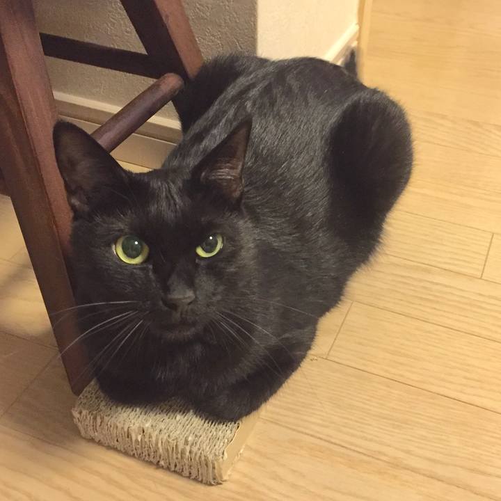 C83d7d85 a6a7 4612 982a d3b842dd7c35