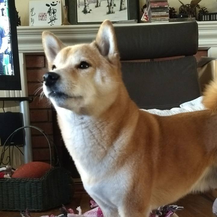 C83d825b 30a4 4ee5 9769 50e20aaea3d7