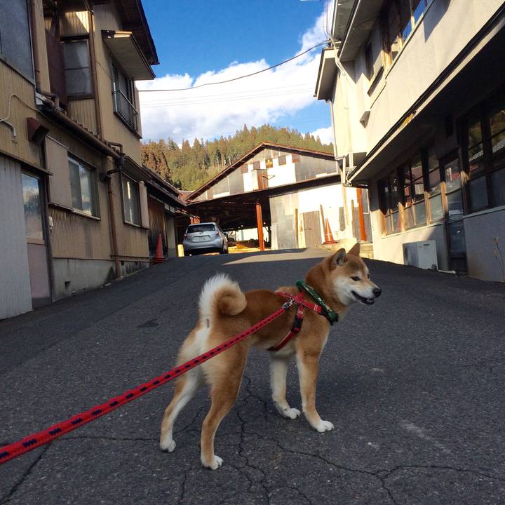 C83d940c 8d2d 42fb b52c a2d05a9412bf