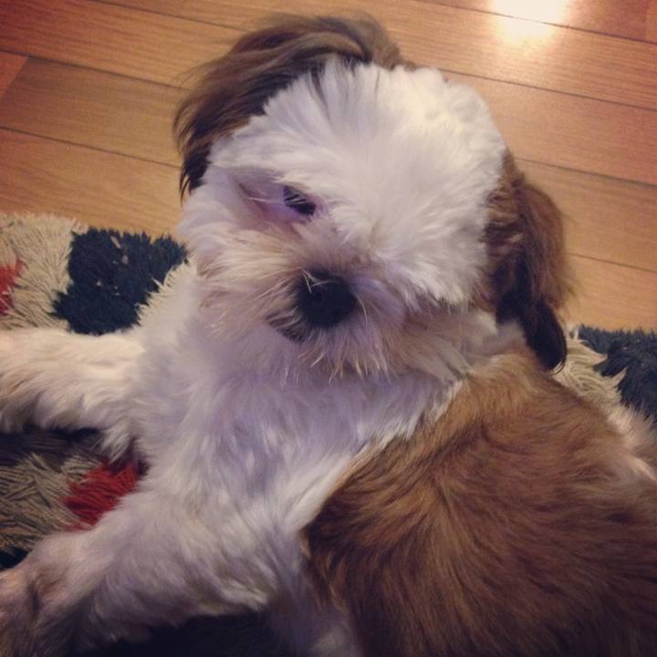 C83d97a7 db4c 4792 80d9 26220e574016