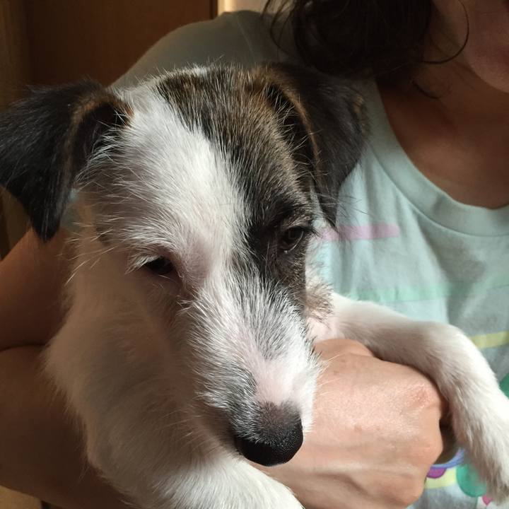 C83efdea e216 40b4 8fab 981819882025