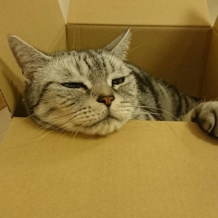 C84019c0 1ce9 4a0e b89d ac4bcf0468c4