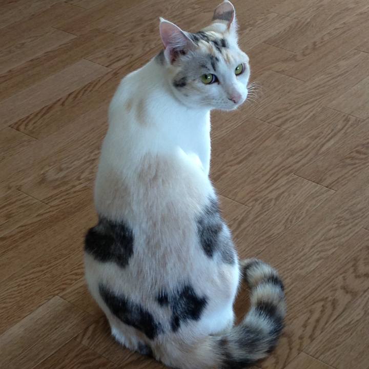 C8402784 e7ab 491b 8904 6a9582f268f2