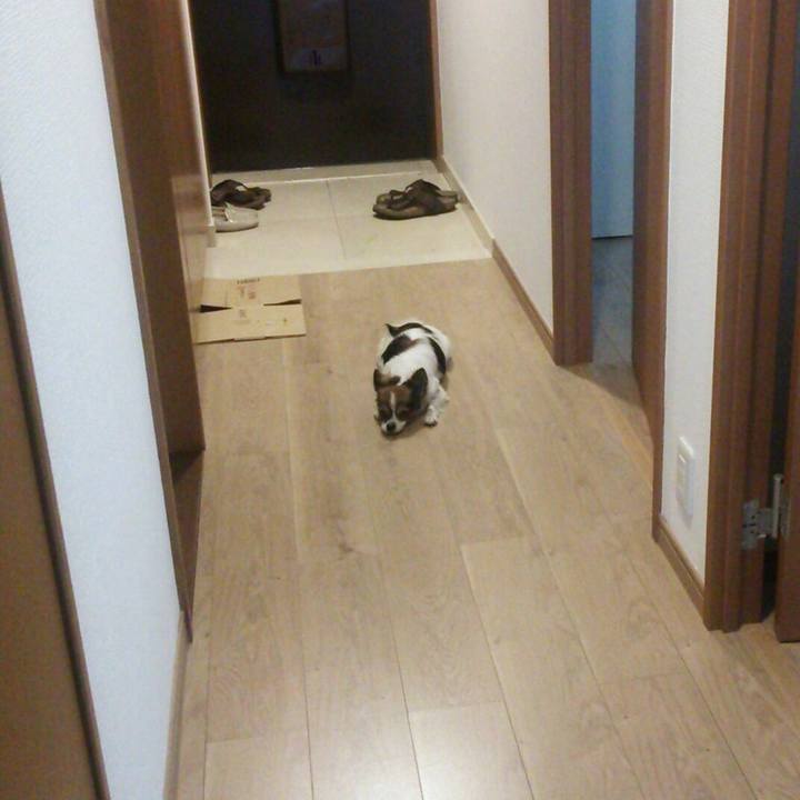 C8407831 fbdd 4306 bbd9 00ee507875f9