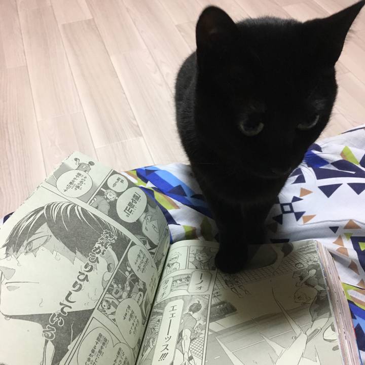 C840813f 5864 4458 be7d e4b76d8bdce5