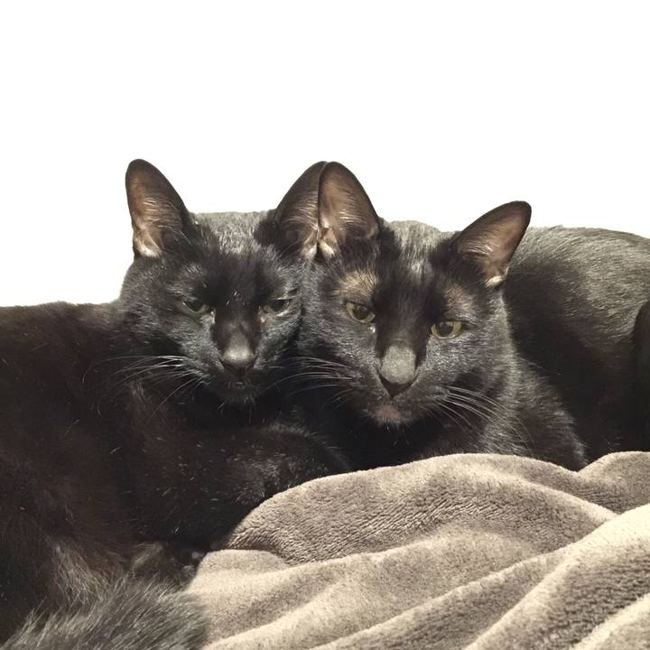 C841dffa 78dd 4c6c 9a18 d6f7c8d35b2b