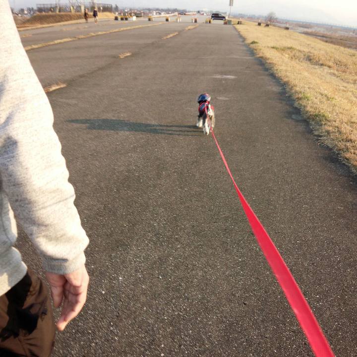 C84242c5 7b77 4b4d 9ecd 1233ed6f3cbe