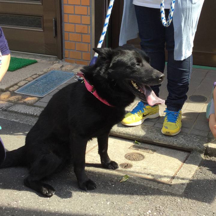 C8439ba3 44bc 4e7d 8a91 c1a7345267fc