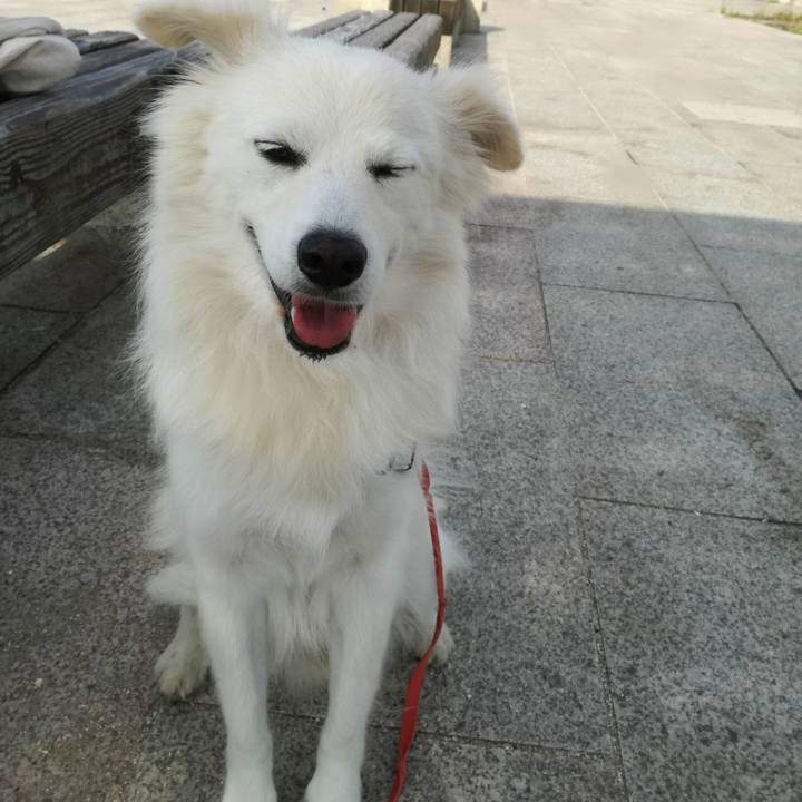 C844526b 7b44 48aa 8e6f 77ea99db9cc3