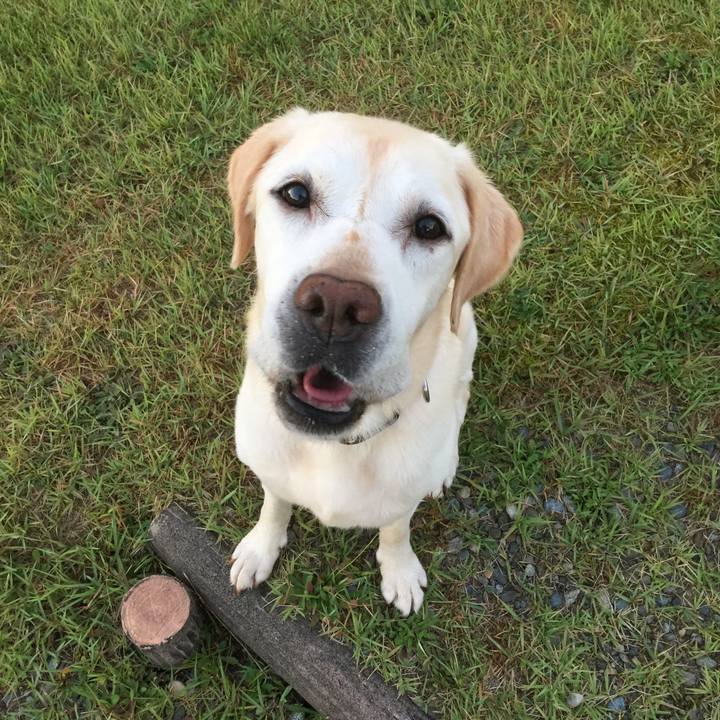 C8449eab 86a5 4cc7 8919 894a15144cf8