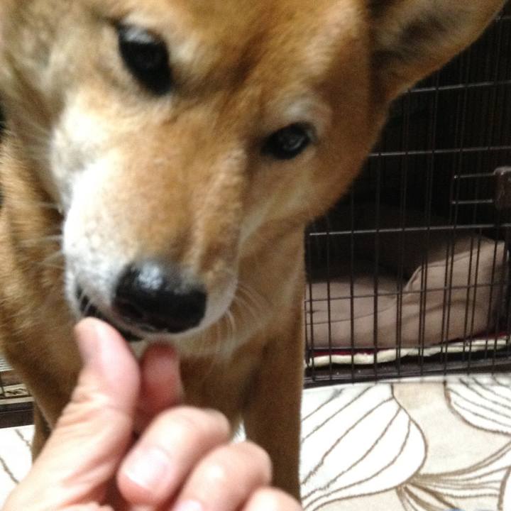 C844c2c7 3da9 487f b78a 4eafdc02b7ea