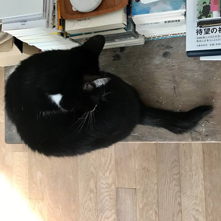 C844e5c1 f05b 490a 93c0 e733aeab69d8