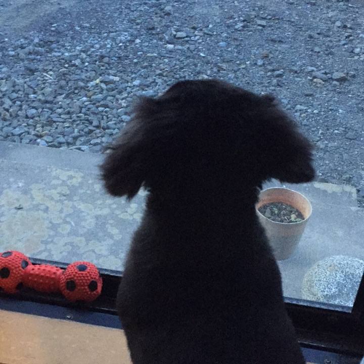 C845a202 1d29 4817 9012 4d509f7684dd