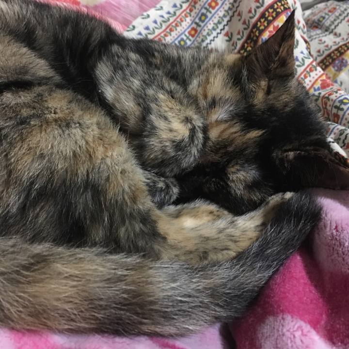 C845f044 5924 4611 8ceb d7c9a2ec0bb9