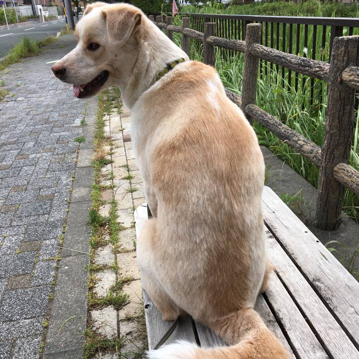 C846203f ecca 46bd bda0 21e38a62f363