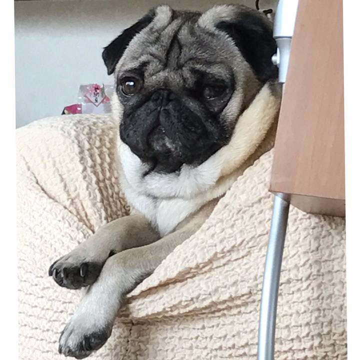 C846253e 4fb2 4878 b1a4 e9e084a6d9b0