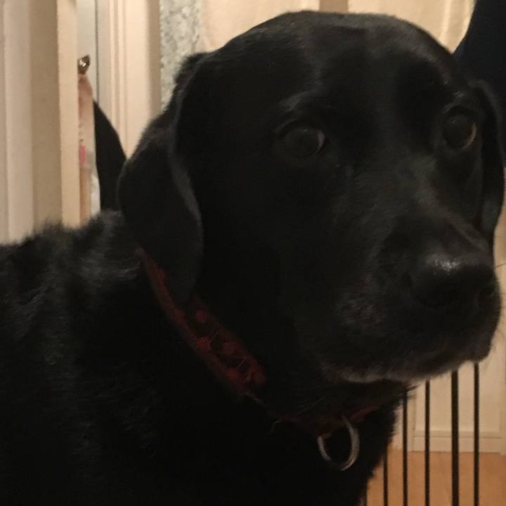 C846e810 9bce 4fae 8573 3f3b91f0539c